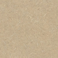 Natural Tigris - 4669-60