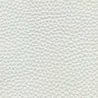 South Hampton #14 - Oyster