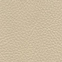 South Hampton #16 - Canvas