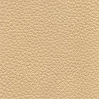 South Hampton #17 - Barley