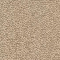 South Hampton #18 - Shale