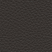 South Hampton #32 - Coffee