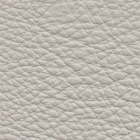 South Hampton #34 - Dove