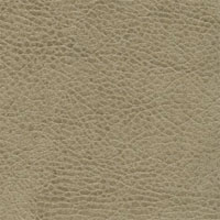 Avanti Bone - Grade A