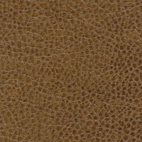 Avanti Bronze - Grade A